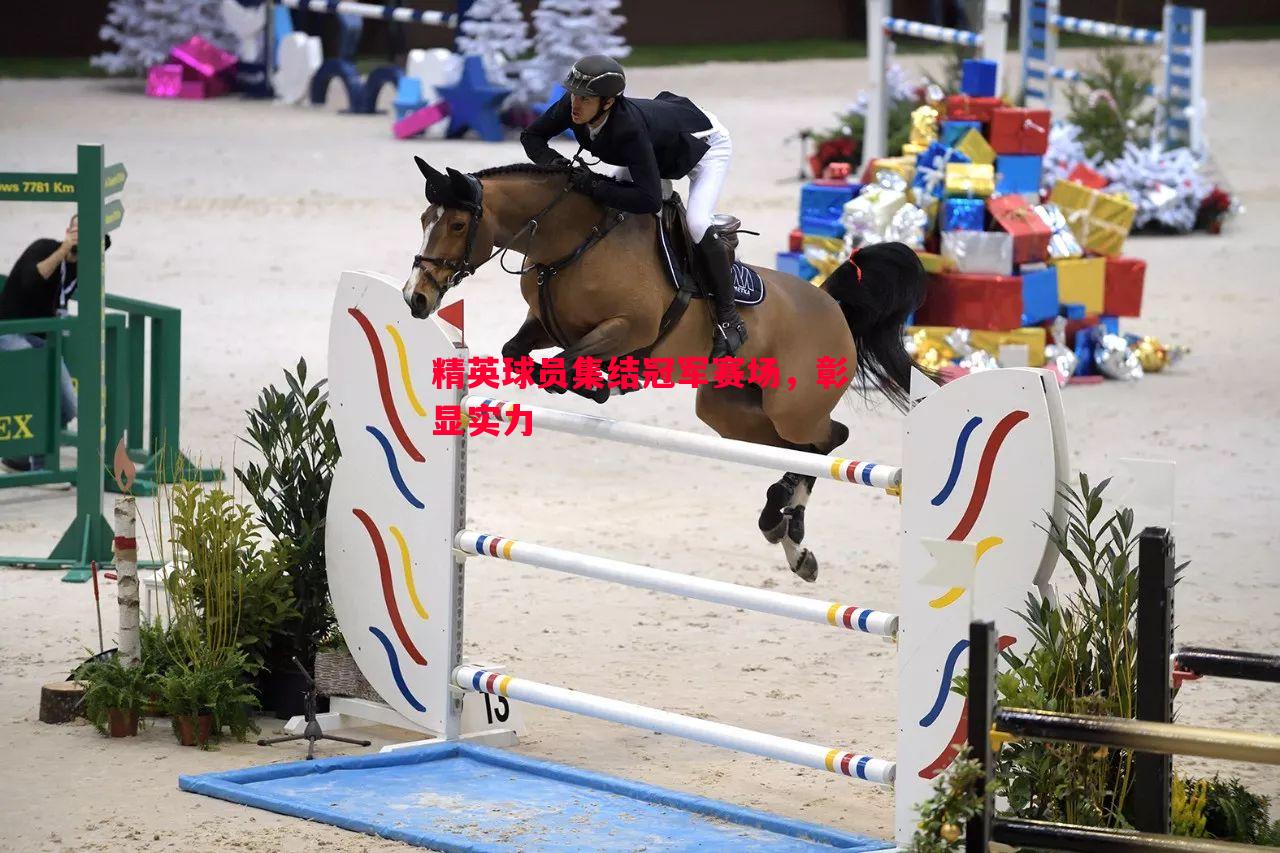 精英球员集结冠军赛场,彰显实力 精英球员集结冠军赛场,彰显实力