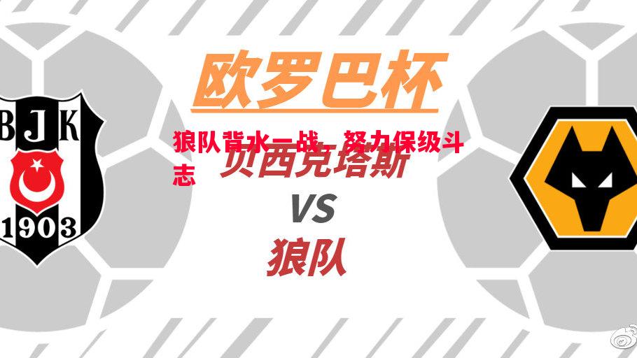 狼队背水一战,努力保级斗志 狼队背水一战,努力保级斗志
