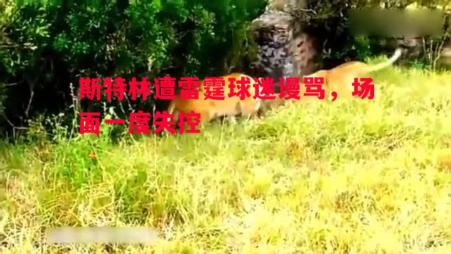 斯特林遭雷霆球迷谩骂，场面一度失控